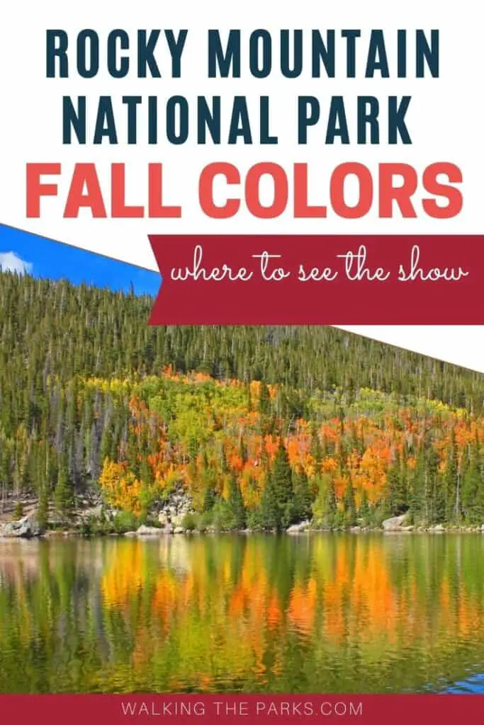 Fall colors in Rocky Mountain National Park, aspen reflect off the bear lake. Where to see the best fall color in the park!