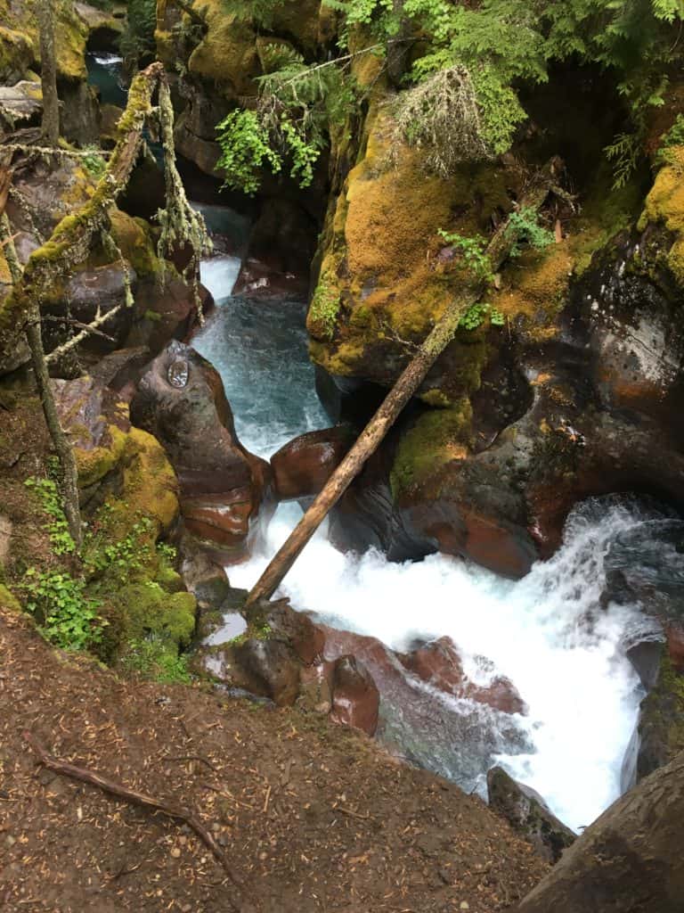 Avalanche Creek in Glacier National Park