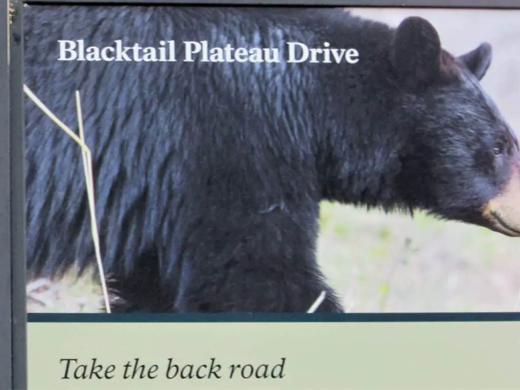 sign for Blacktail Plateau Drive