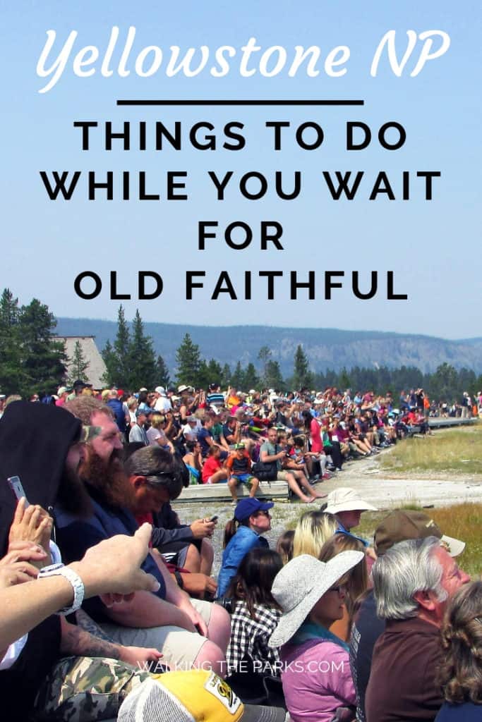 There are so many things to do in Yellowstone National Park, especially in the Old Faithful Area. Don't miss a thing, check out this guide to the Old Faithful area for your Yellowstone Itinerary. #WalkingTheParks #YellowstoneNationalPark #OldFaithfulGeyser