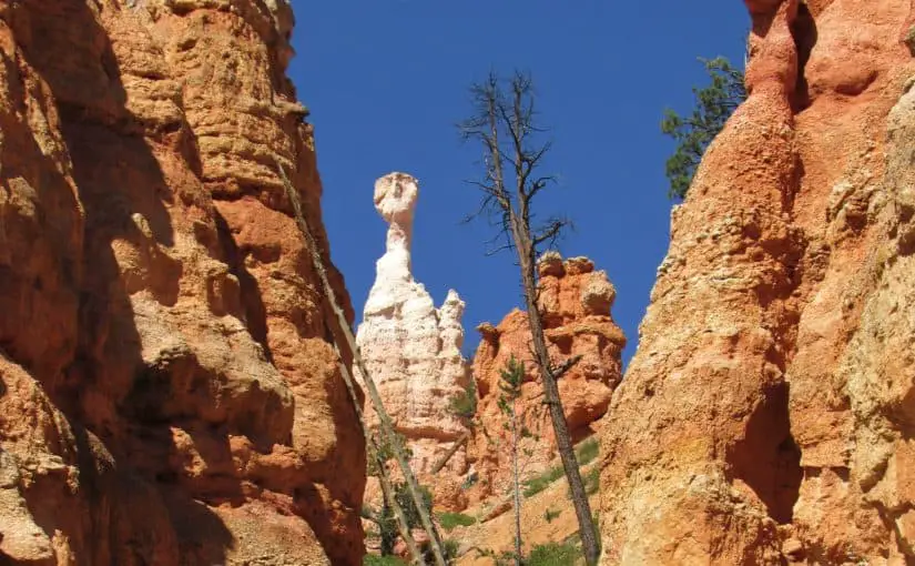 Hiking Queens Garden and Navajo Loop Trail in Bryce Canyon