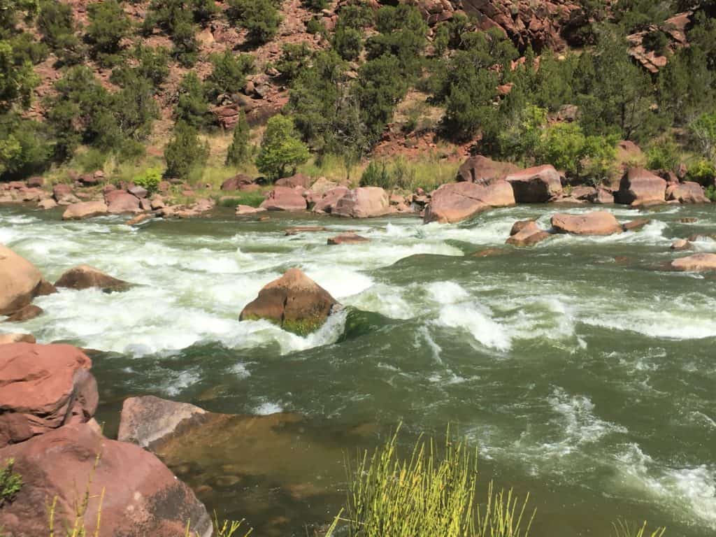 Rapids in Lodore Canyon