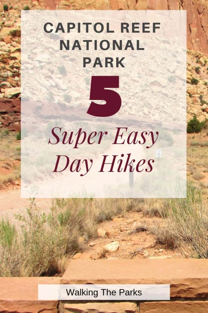 Hiking in Capitol Reef National Park is quite the adventure! Check out these 5 Super Easy Day Hikes to add to your trip itinerary. #WalkingTheParks #CapitolReefNationalPark #CapitolReefHiking