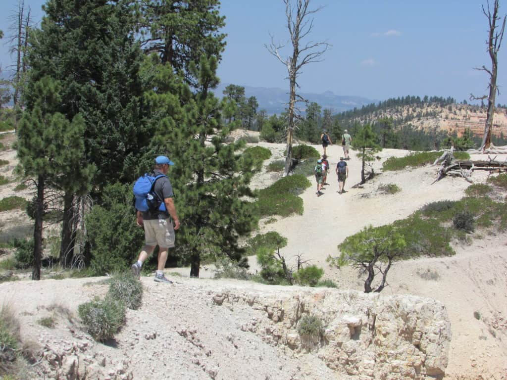 Bryce Canyon Rim Trail for your Bryce Canyon Itinerary #WalkingTheParks