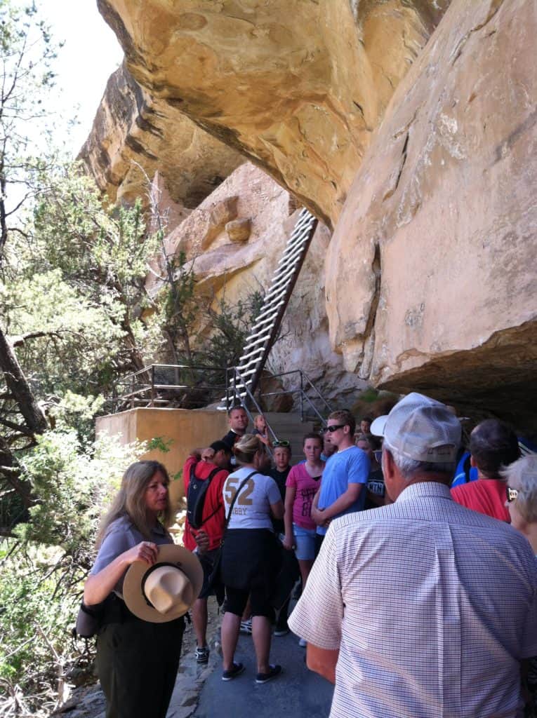 Ladder out of Mesa Verde Cliff House