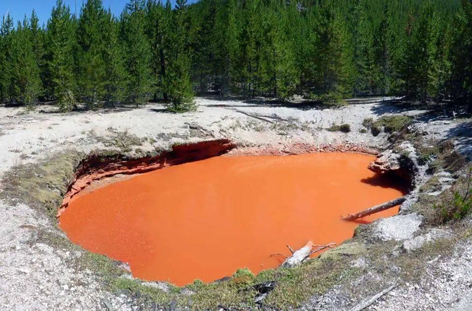 Orange pool called Tomato Soup Pool in Yellowstone National Park