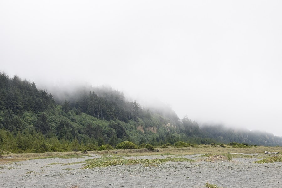 Fog rolling in on beach near James Irvine Trail