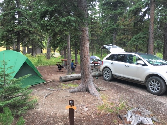 camp site under trees in cut bank campground glacier national park