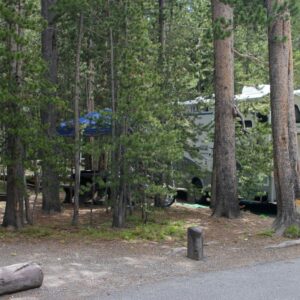 RV seen through a wall of trees in Canyon Campground in Yellowstone National Park