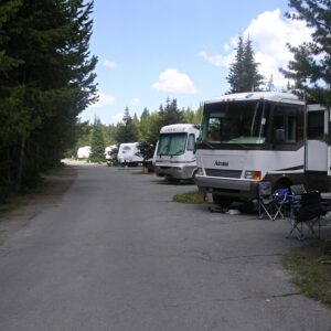 RVs lined up along roadway in Fishing Bridge RV Campground in Yellowstone National Park