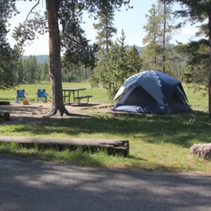 Light blue tent under a tree and next to a picnic table in Norris Campground in Yellowstone National Park