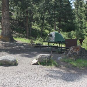 Tower Fall Campground in Yellowstone National Park, tent set up behind picnic table with background of trees.