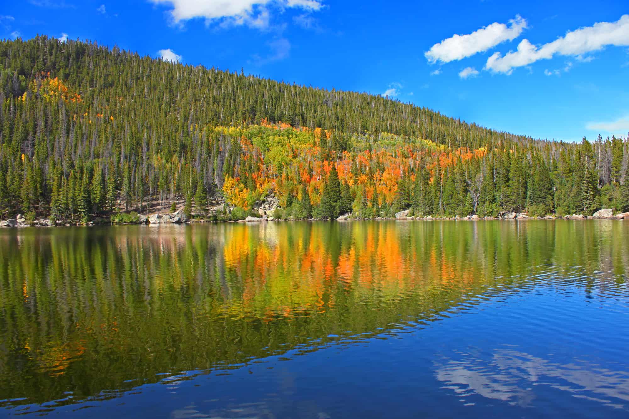 Autumn colors reflect off Bear Lake in Rocky Mountain National Park Colorado.