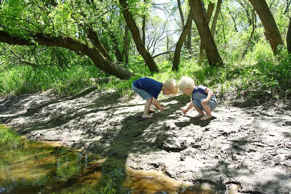 Boys exploring water while on family hike