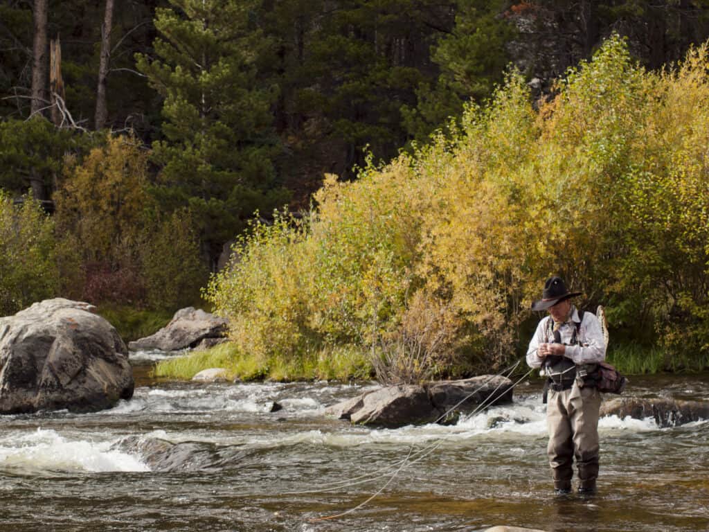 Fly fishing in fall in Rocky mountain national park