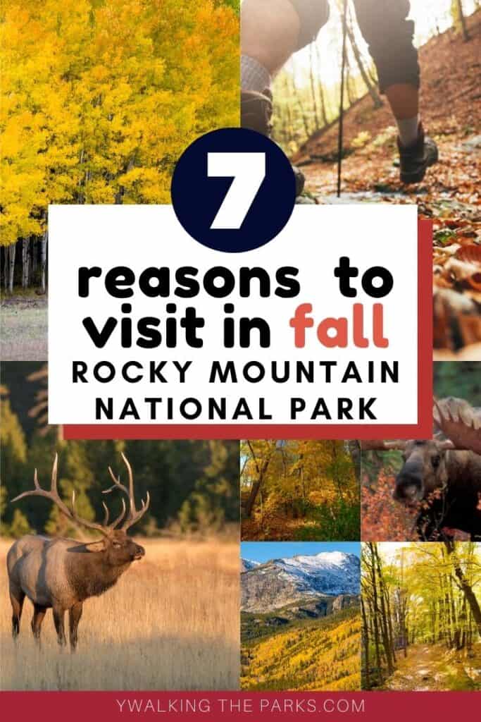 Here's our list of 7 things to do in Rocky Mountain National Park in the fall! #Walkingtheparks