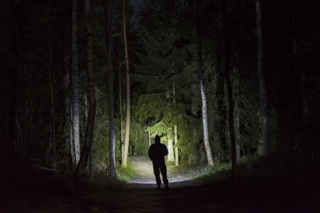 man with hiking flashlight walking through a grove of trees