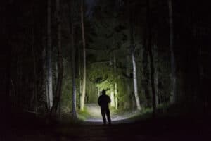 man with hiking flashlight walking through a grove of trees