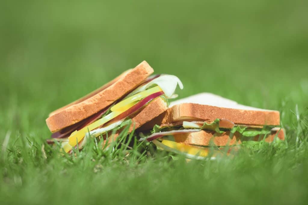 sandwich of meat and vegetables in a grassy field