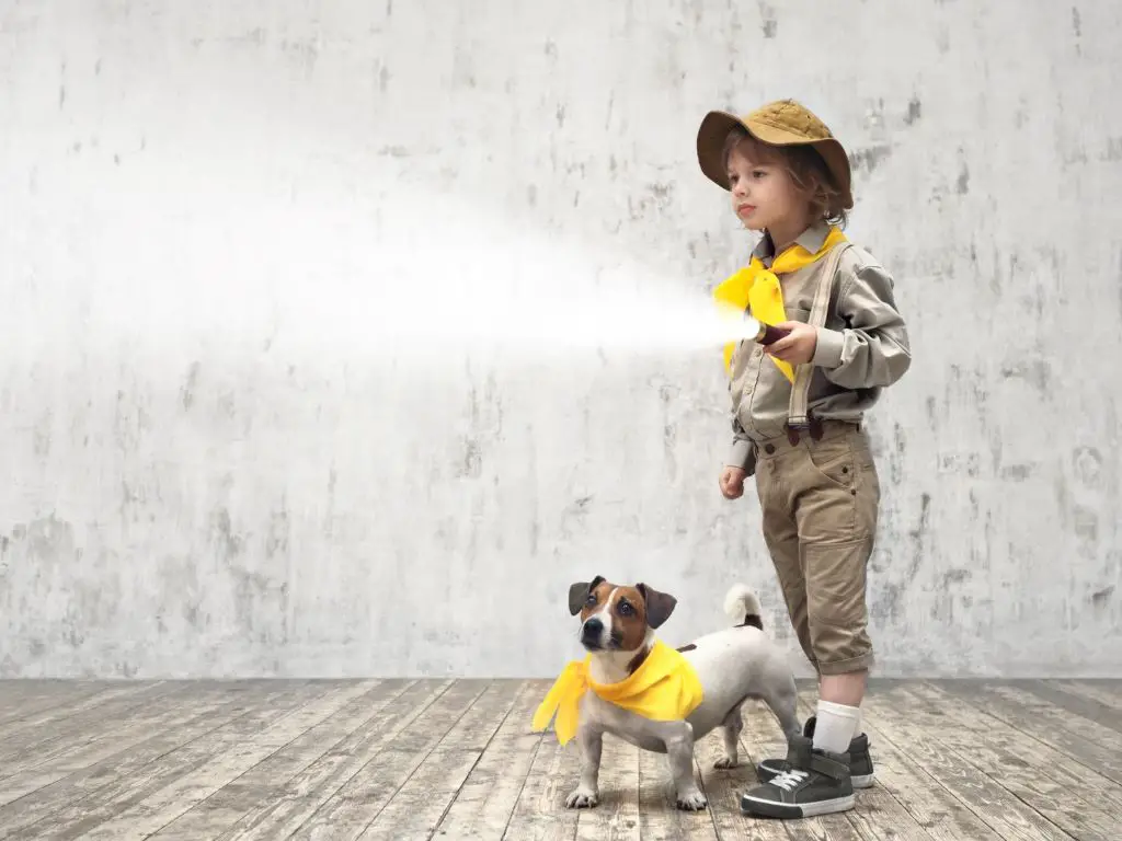 Boy and his dog with best kids flashlight for hiking