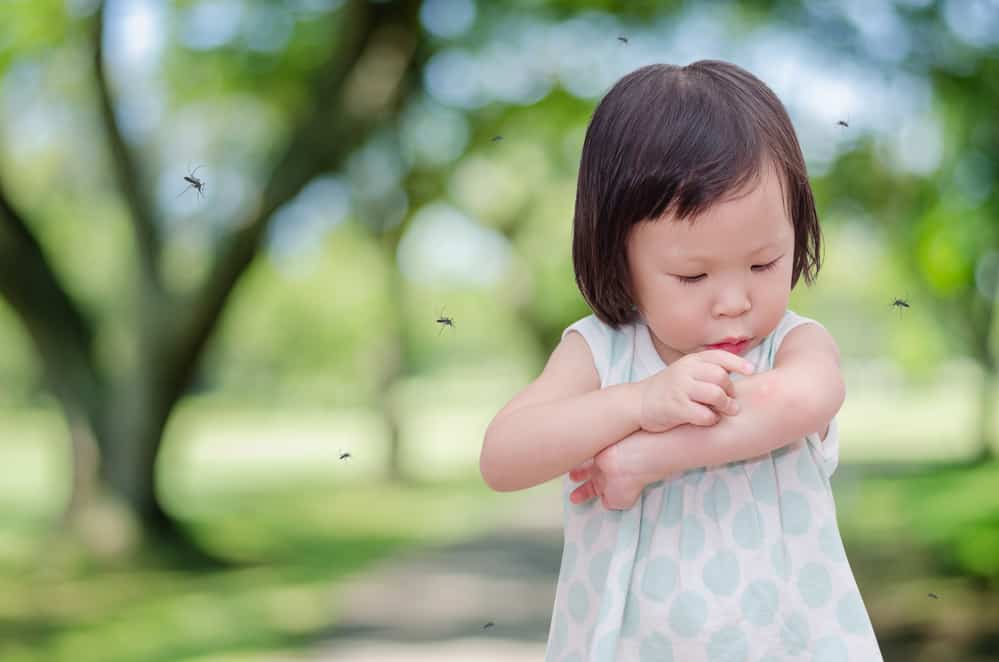 Child being bitten by mosquitoes