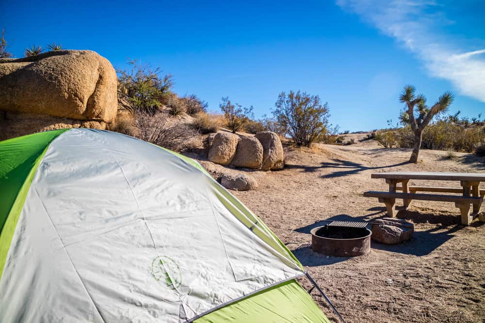 Green tent next to picnic table in campsite in Joshua Tree National Park