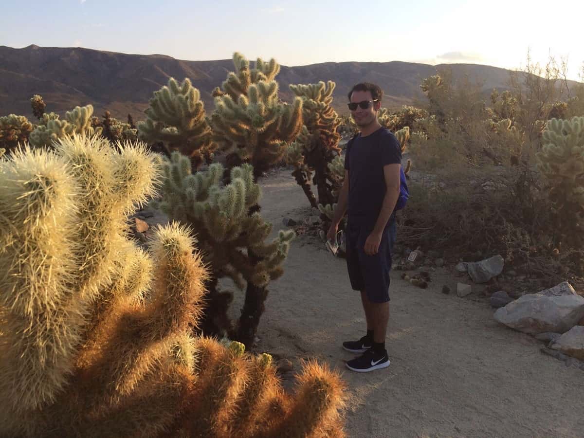 Hiking the Lost Palms Oasis Trail in Joshua Tree National Park