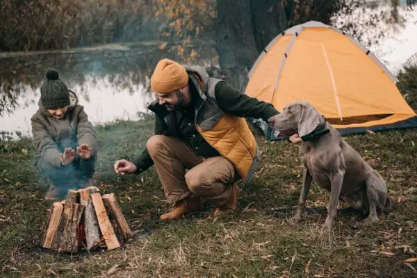 Man, child and dog in front of yellow tent and creek starting a campfire on their first camping trip