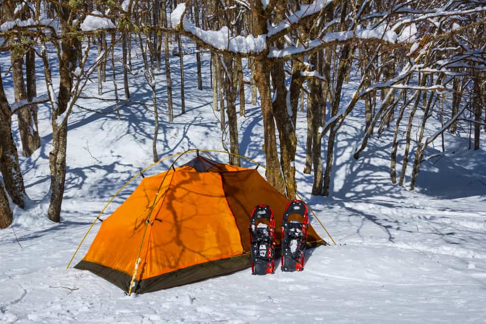 orange tent in snow with trees in background and snowshoes in front demonstrating winter camping