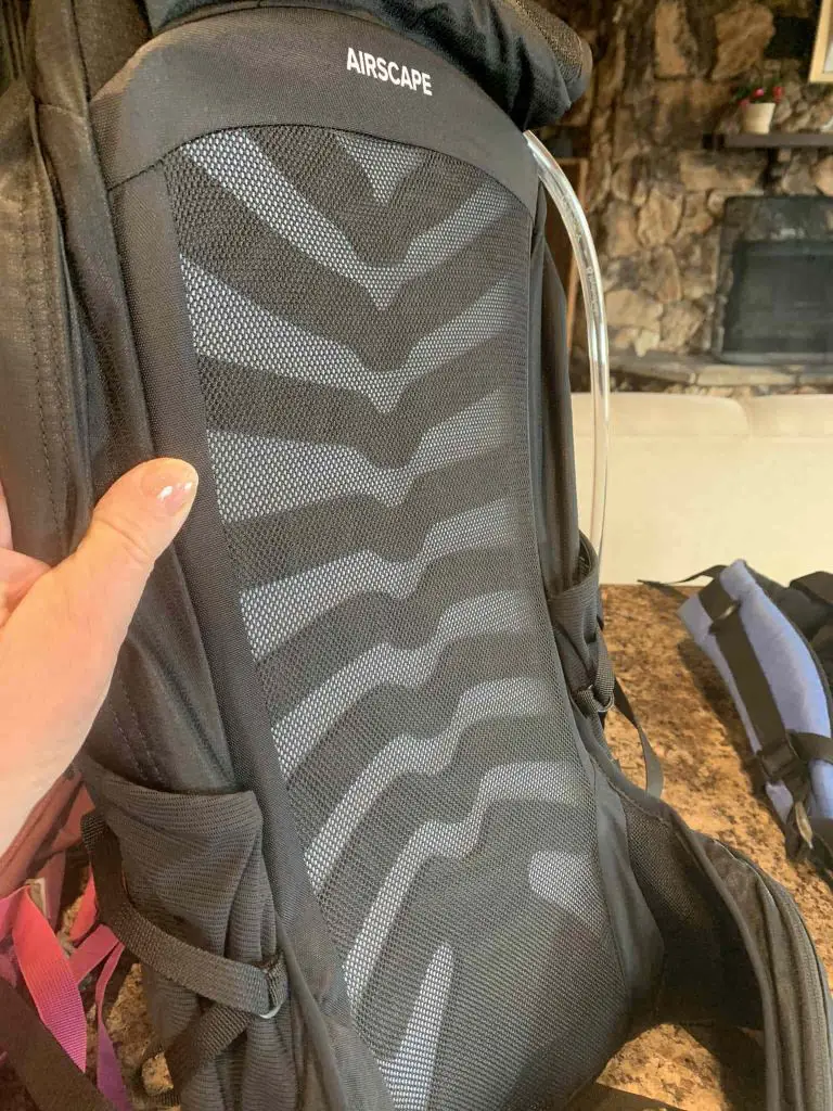 back side of a daypack showing what a trampoline back looks like, a feature found in some of the best women's daypacks.