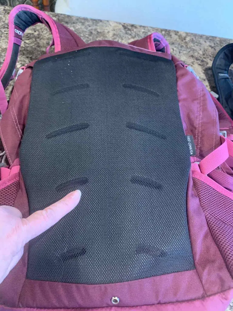 Backside of a daypack with a foam base and air circulation pockets.