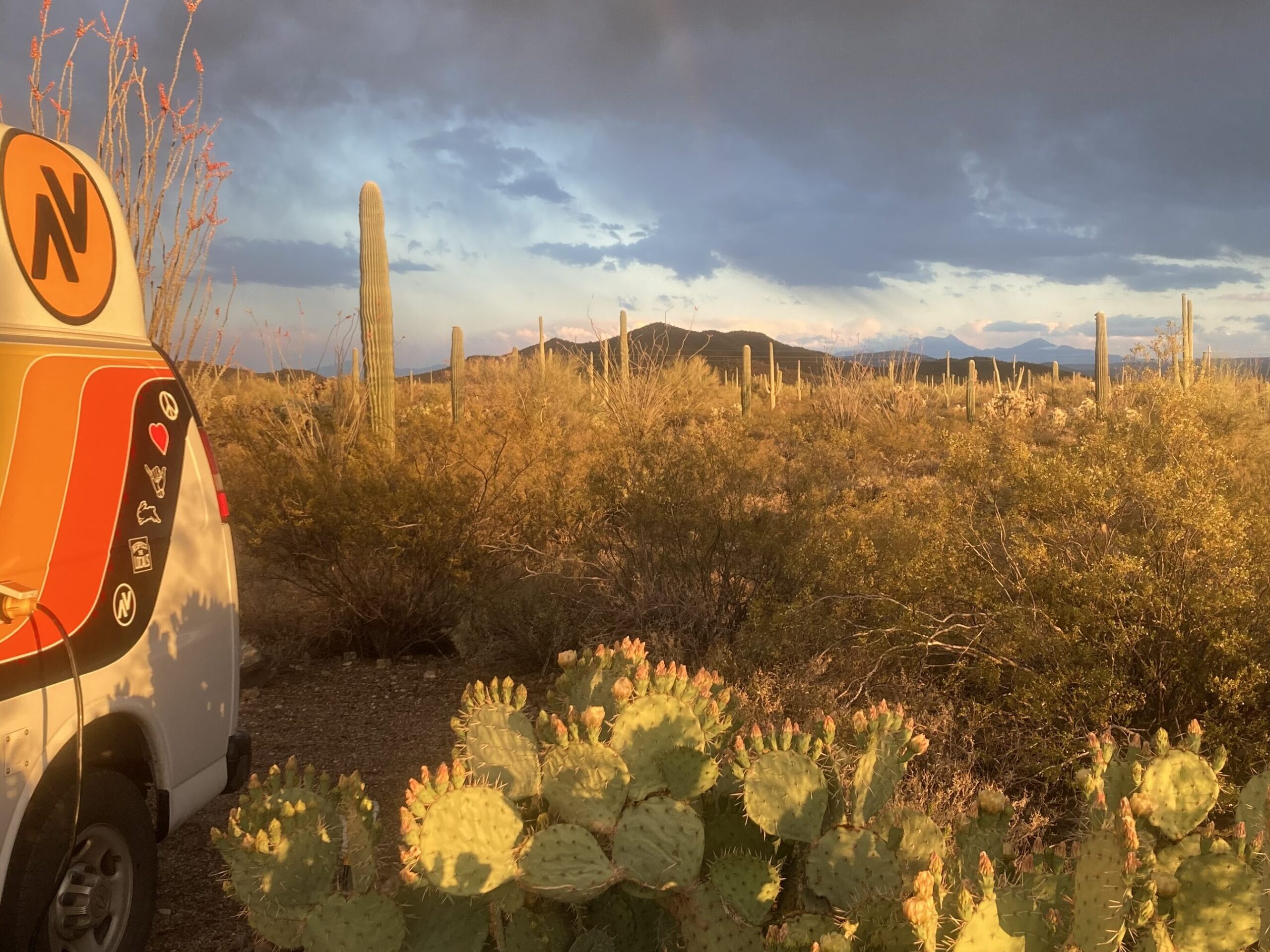 tourism desert camp