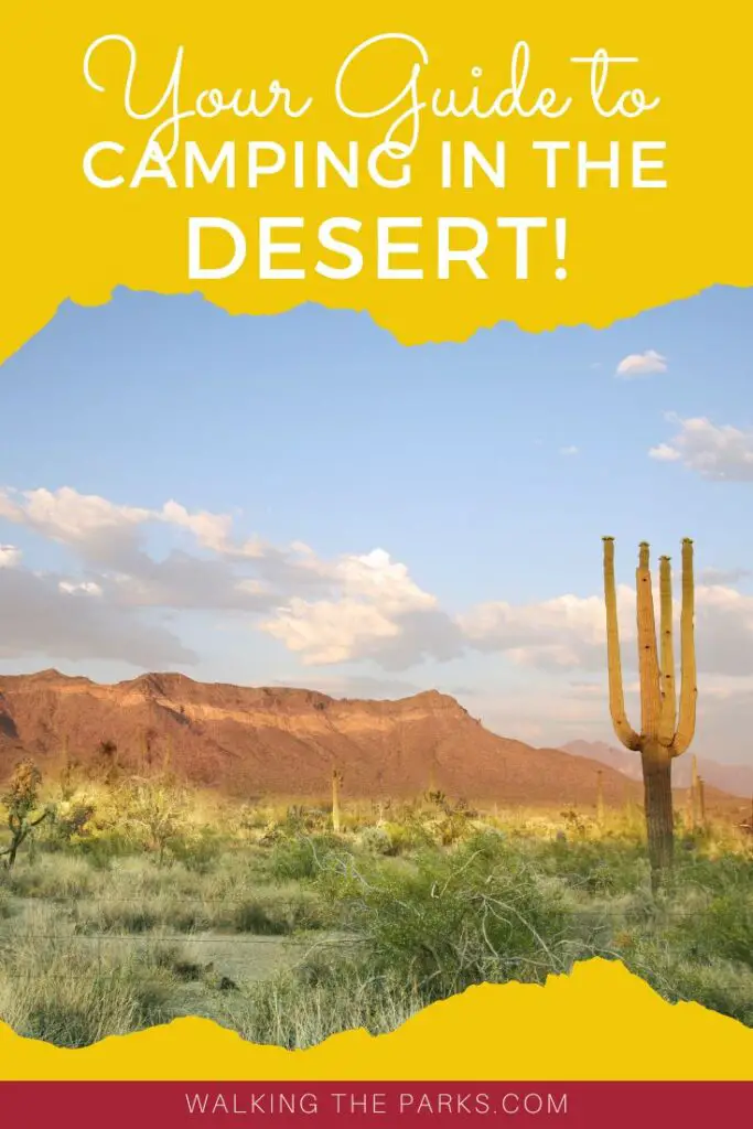 Guide to camping in the desert so you can stay safe and have fun!