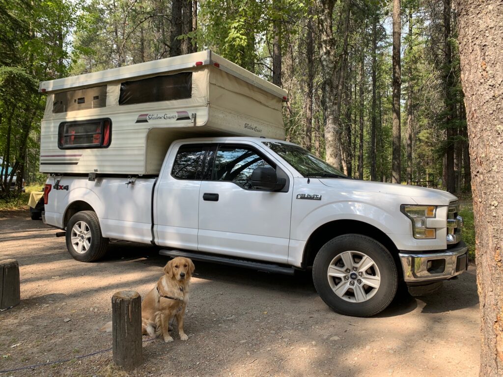 Golden Retriever in front of camper in Apgar Campground Glacier National park