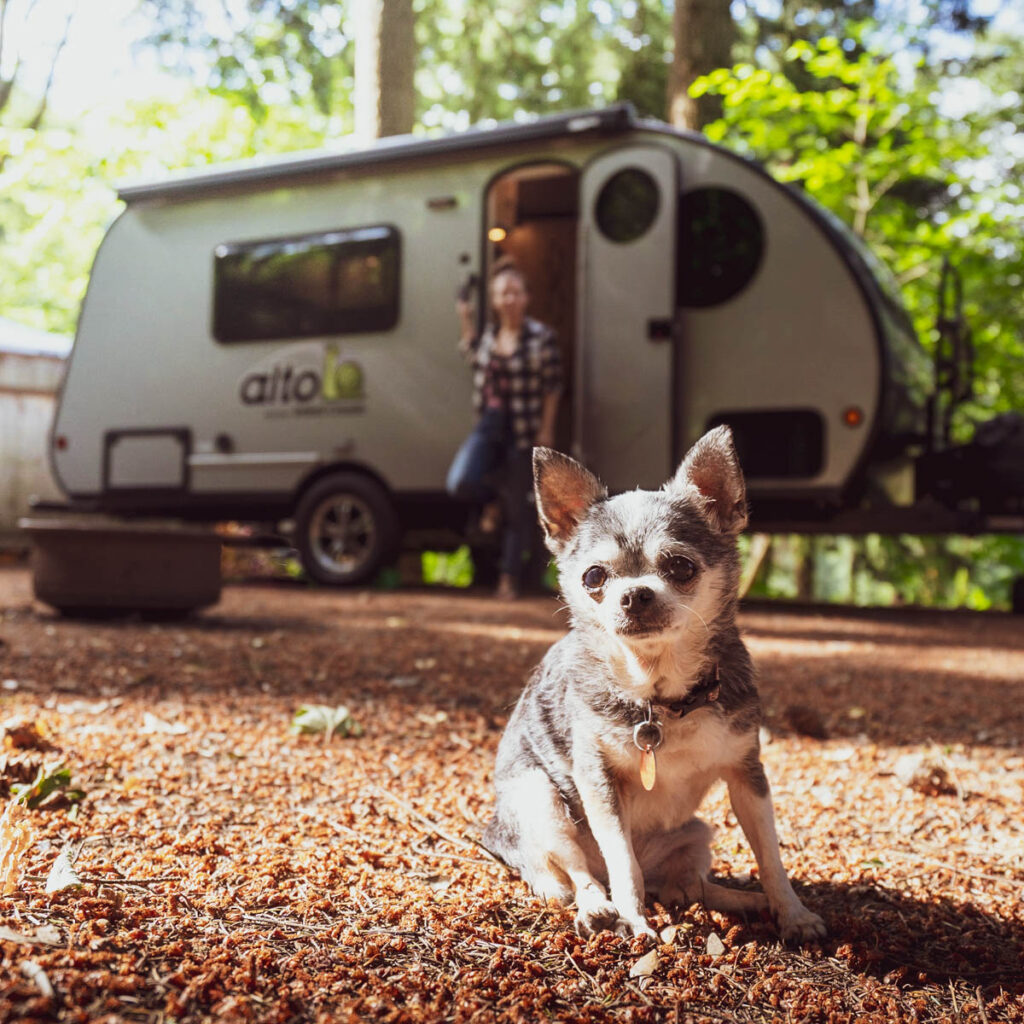 small dog sitting in front of camper