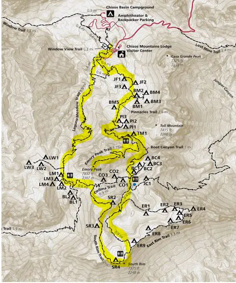 NPS map of south rim trail in big bend with yellow highlight on trail.