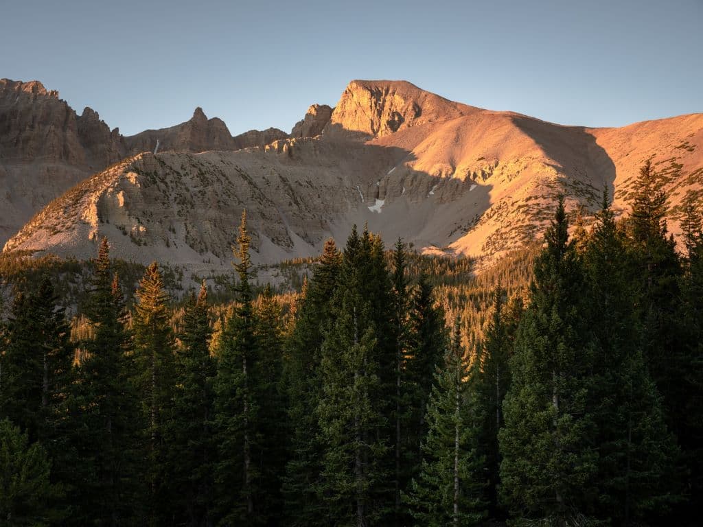 Wheeler Peak, a craggy mountain top, taken from the distance with evergreen trees in the foreground