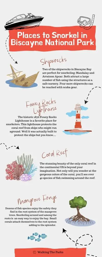 Infographic showing the best places to snorkel in Biscayne National Park