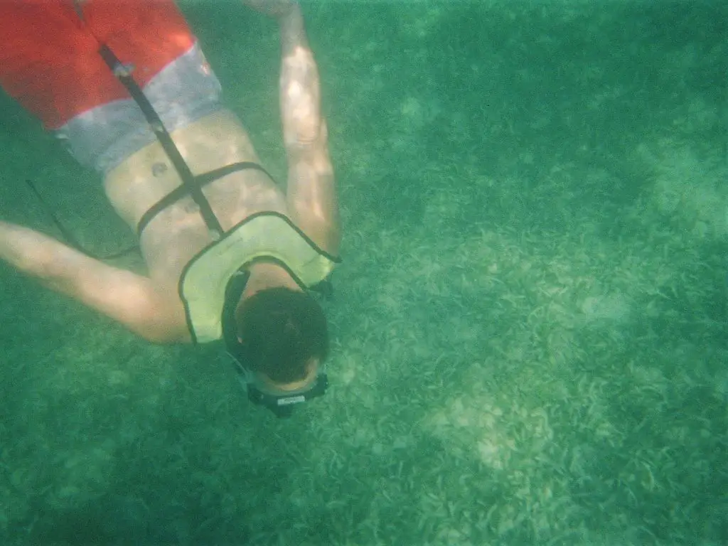 Brad snorkeling