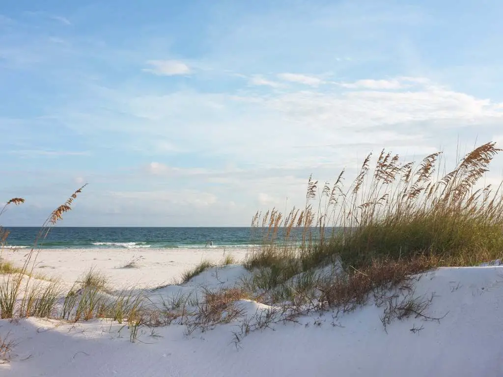 White Sandy Beach in Florida's Gulf shores with the ocean in the background