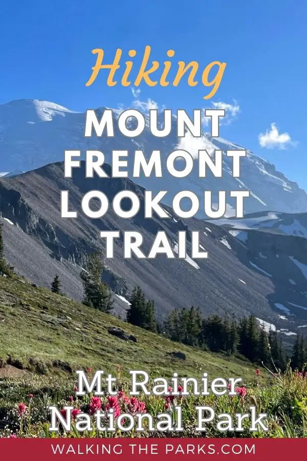 Hiking Mount Fremont Trail in Mt Rainier National Park is an amazing day hike. You'll discover an abundance of wildlife. The view of Mount Rainier is stunning.