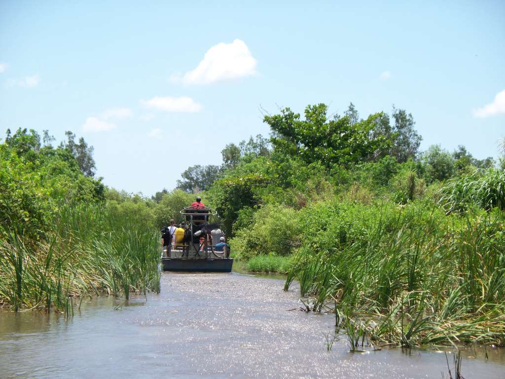 best everglades national park tours