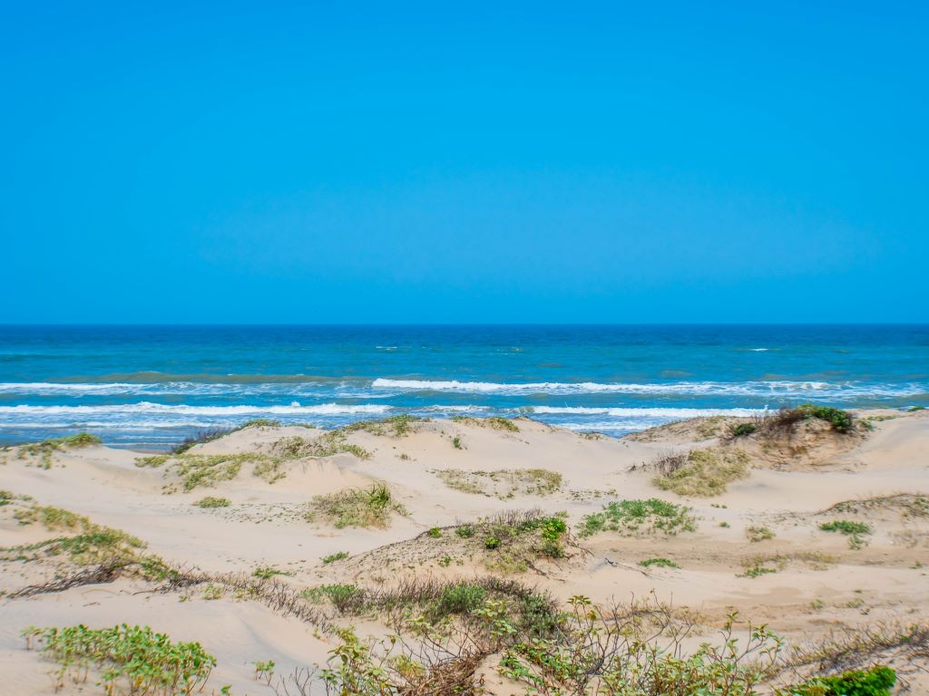 Sandy seashore with ocean in background