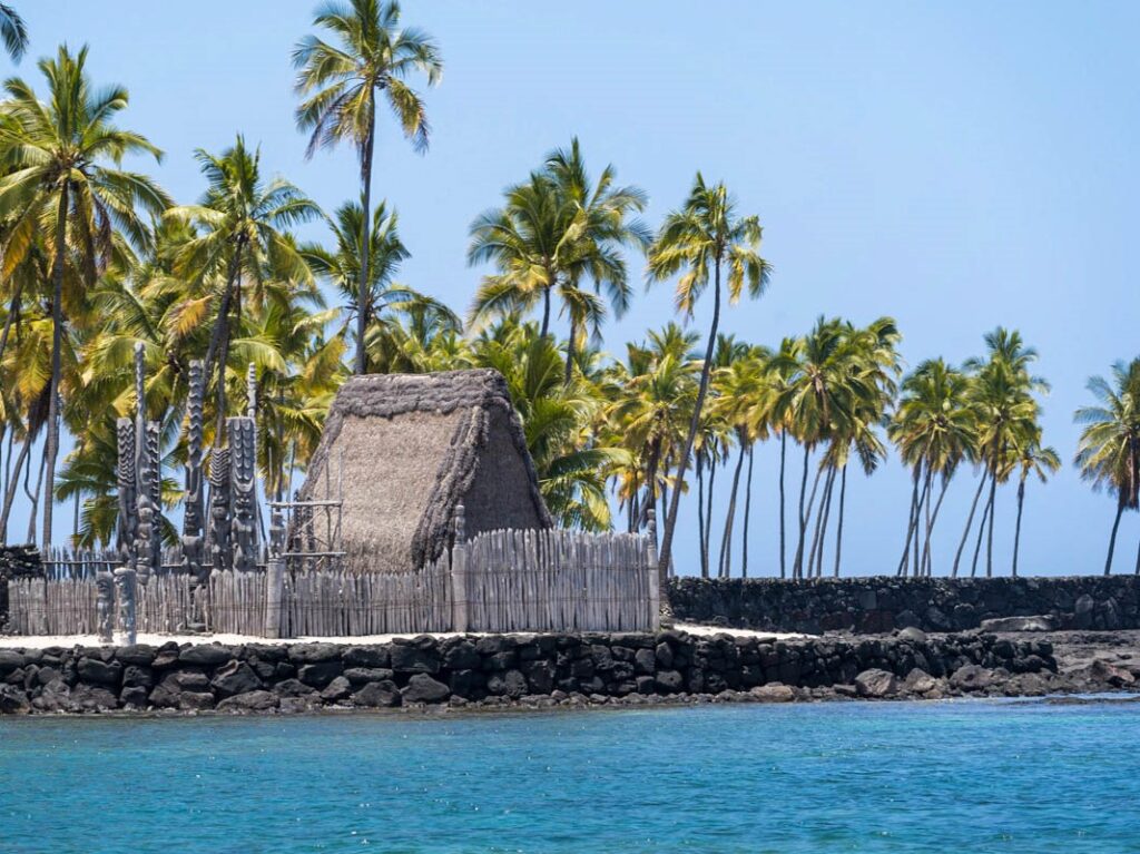 Grass hut on water edge surrounded by palm trees