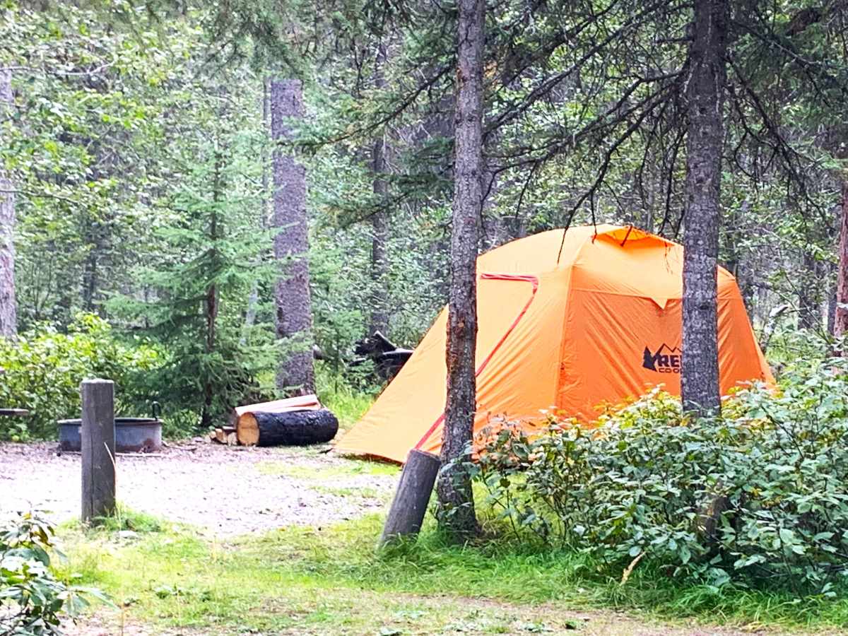 orange rei tent in trees at Glacier National Park