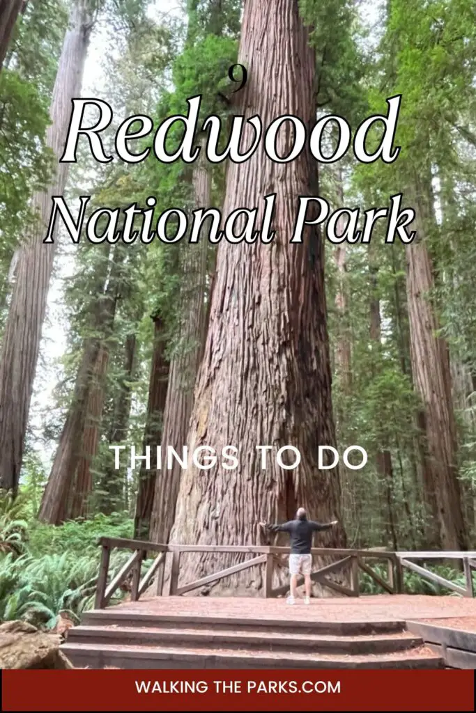 The best list of things to do in Redwoods National Park!