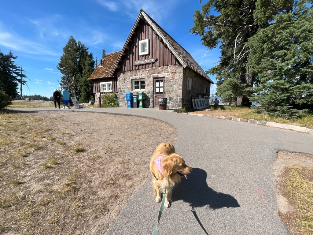 Dog standing in front of Crater Lake Visitor Center