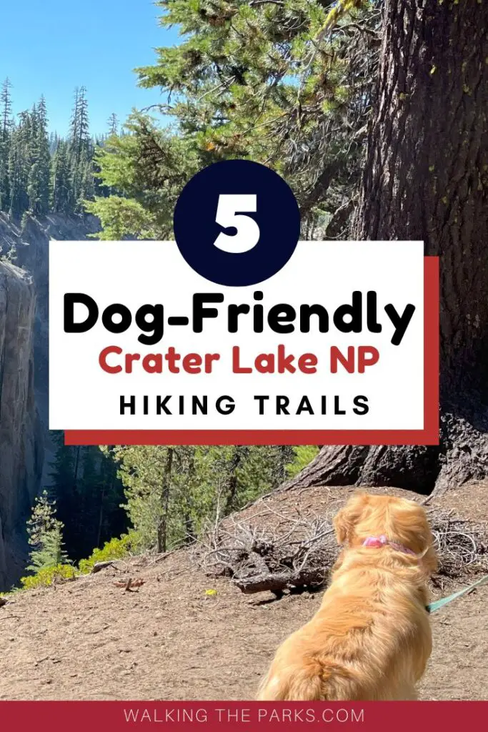 Guide to dog-friendly Crater Lake National Park