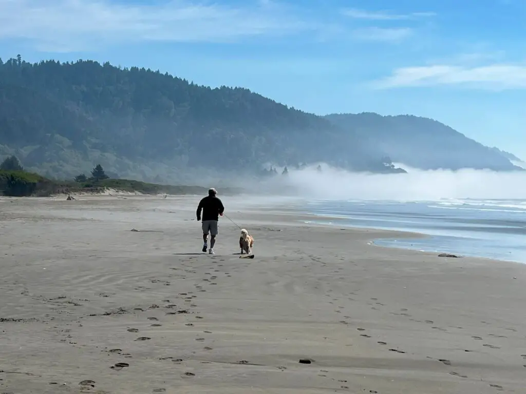 man and dog walking down beach