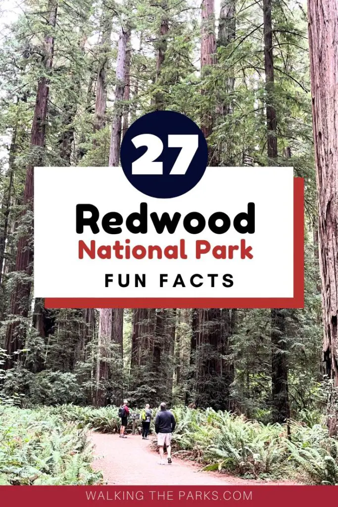 Fun Facts About Redwood National Park